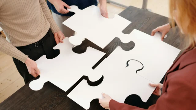 koho-kayttoonotto-palapeli